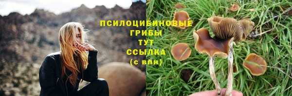 альфа пвп Гусев