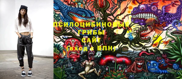 марки nbome Гусь-Хрустальный