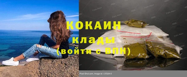 альфа пвп Гусев