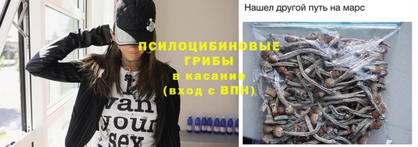 альфа пвп Гусев